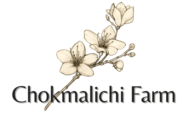 Go to the Chokmalichi Farm website