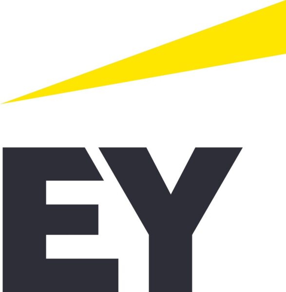 Go to the Ernst & Young website